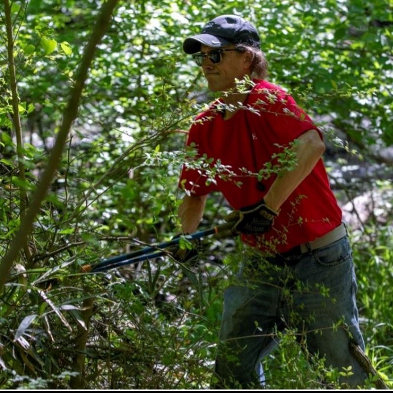 Man in red shirt cuts underbrush in forest